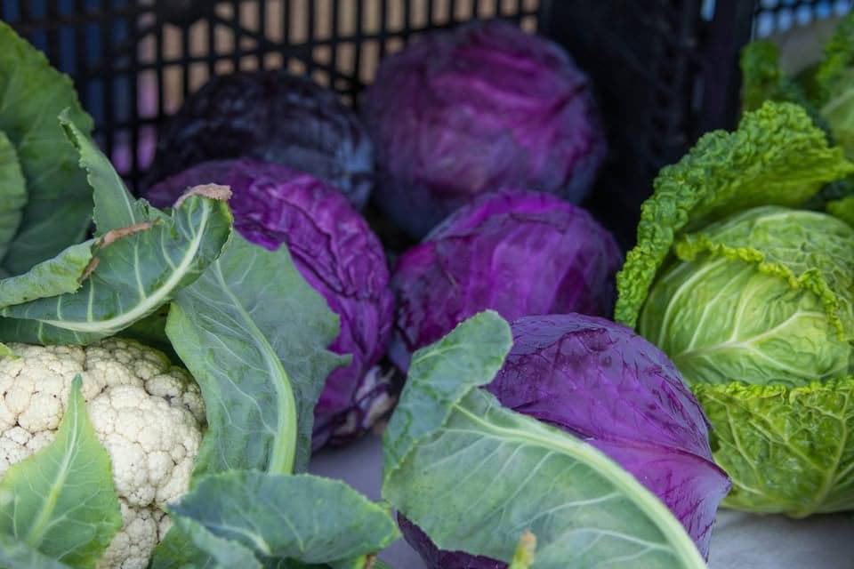 Denman Island Farmers Market in Comox Valley