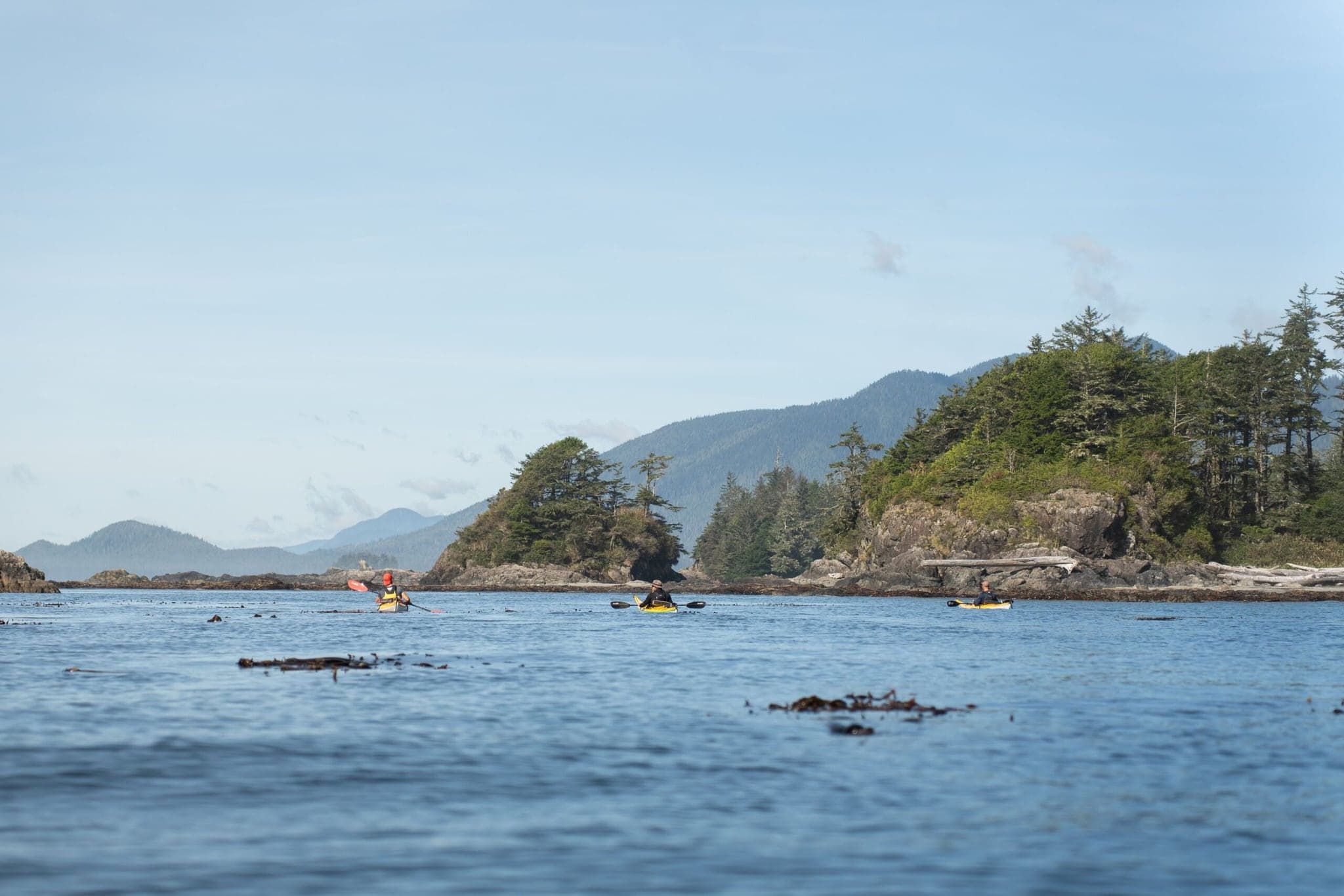 Paddle West Kayaking in Tofino