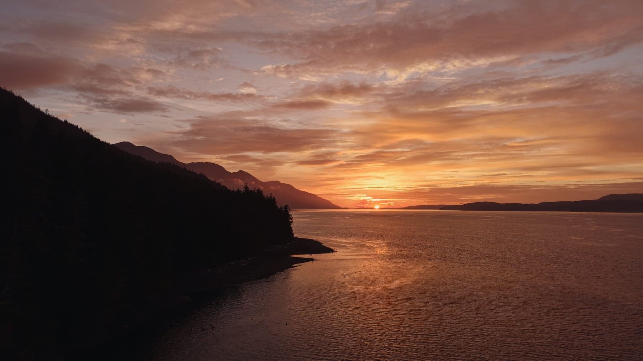 Wildcoast Adventures in Campbell River
