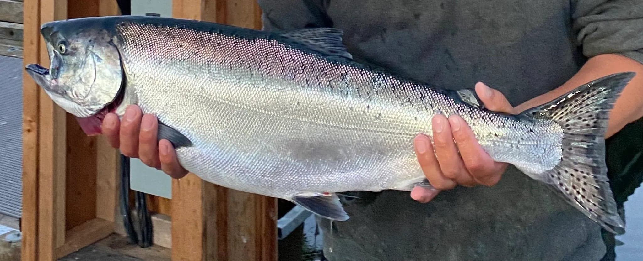 Čaʔak Charters in Tofino