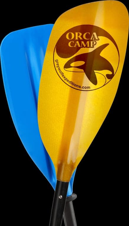 Kayak Tours Campbell River in Comox Valley