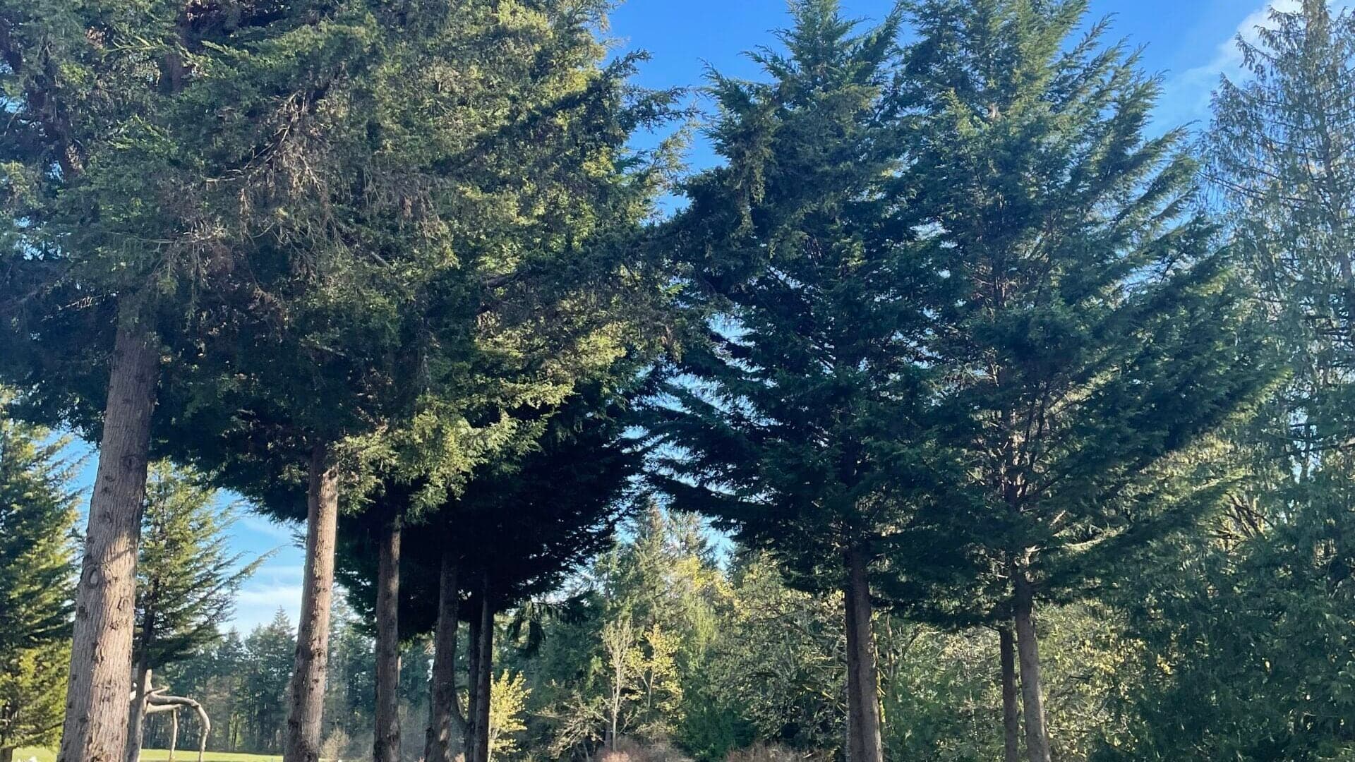 Beehive RV Park & Campground in Duncan