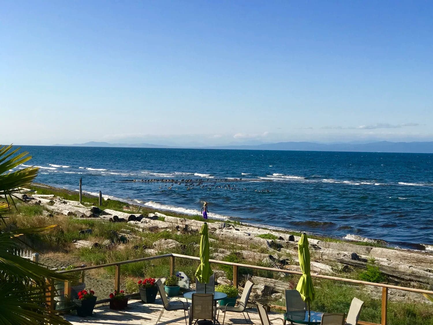 Buena Vista by the Sea in Qualicum Beach