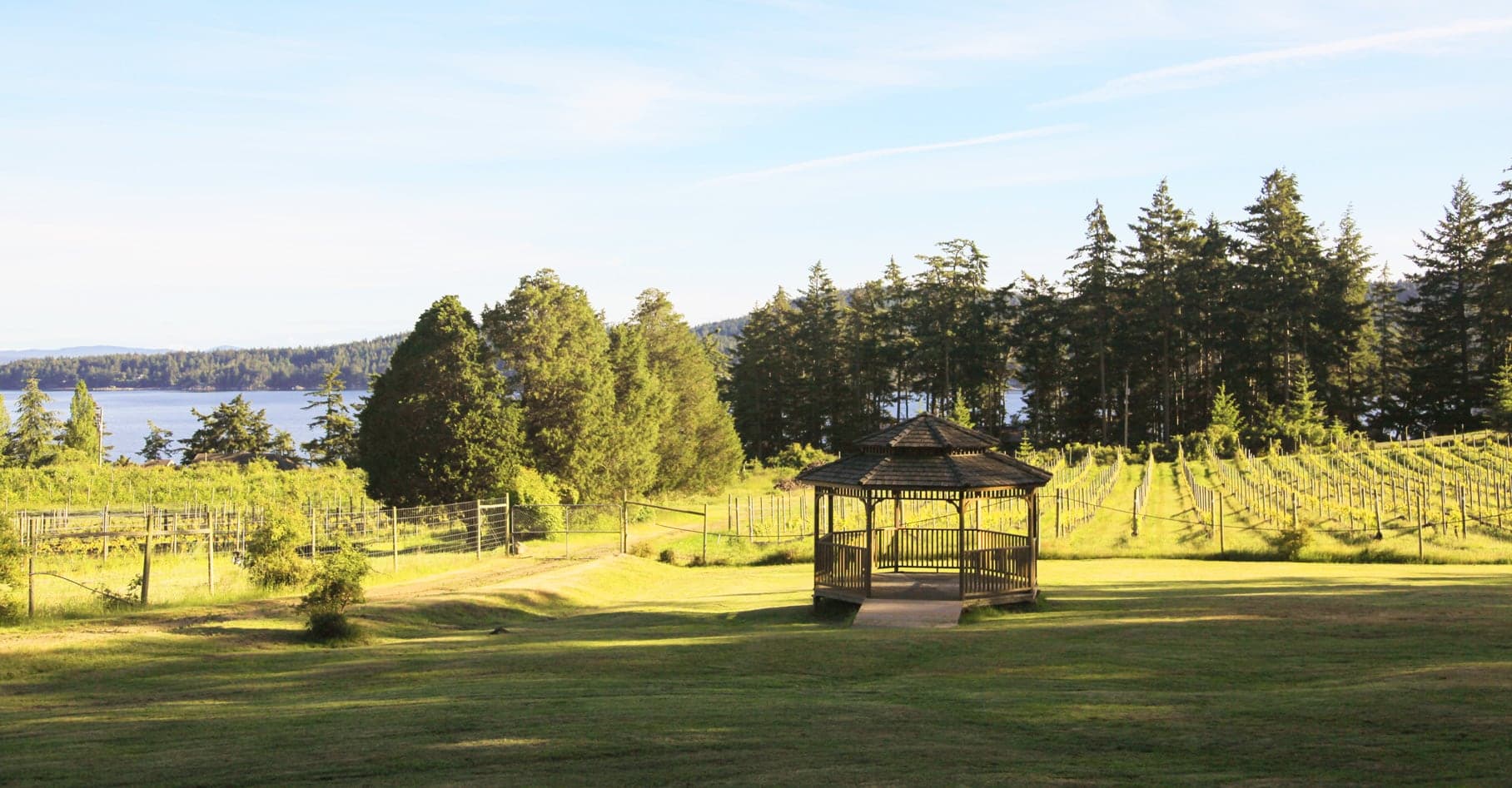 Sage Hayward Vineyards in Salt Spring Island